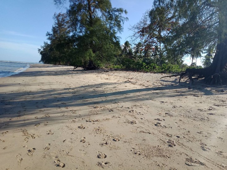  Թ Դ Դ   Beach Front Land in sale Lamae Chumporn