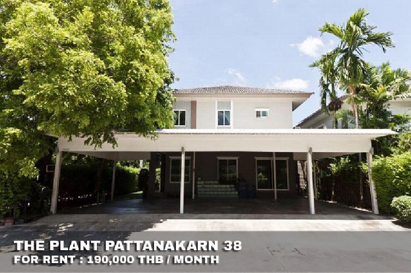 () FOR RENT THE PLANT PATTANAKARN / 4 beds 4 baths / 83 Sqw.**190,000** 