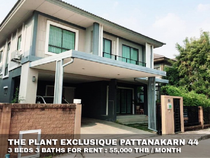 () FOR RENT THE PLANT EXCLUSIQUE PATTANAKARN 44 / 3 beds 3 baths / 56 Sqw.**55,000**