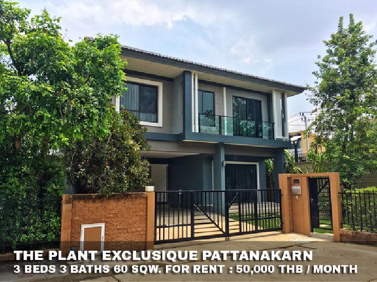 () FOR RENT THE PLANT EXCLUSIQUE PATTANAKARN / 3 beds 3 baths / 60 Sqw. **50,000** 