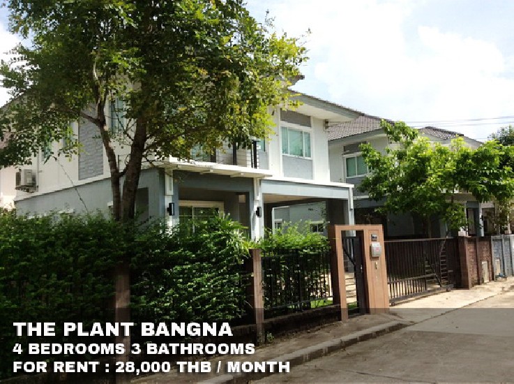 () FOR RENT THE PLANT BANGNA / 4 beds 3 baths / 54 Sqw. **28,000** Fully furnished 