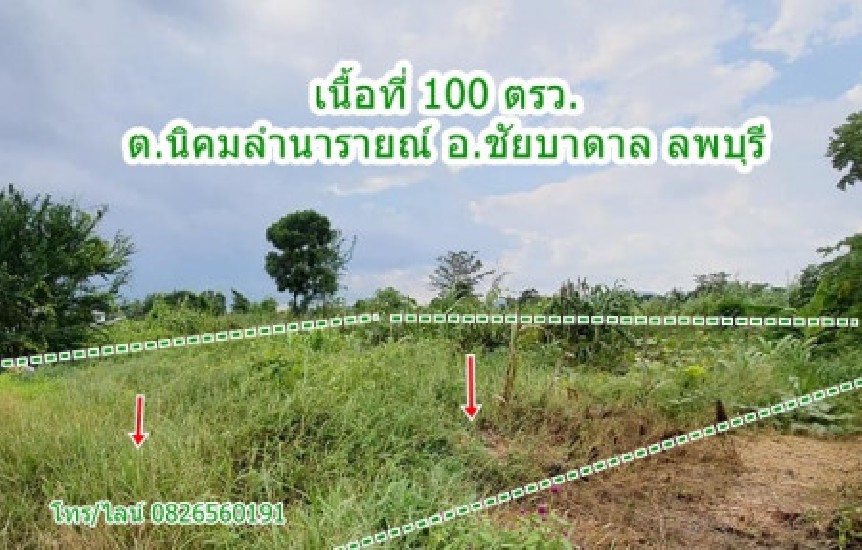  Թ Ѵ ºҴ ž 100 .   Ҷ֧ Land for SALE in Lopburi