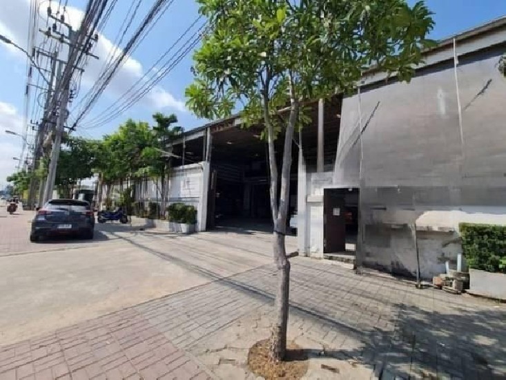 For Rent Were House ⡴ѧͿҹ2 ҧд  . 3,000 