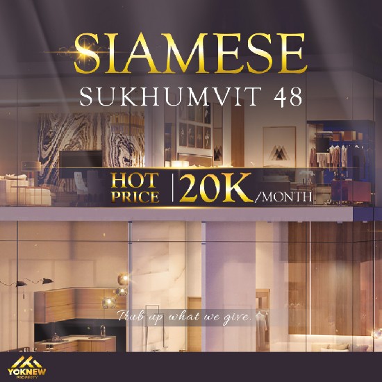  ͧ Duplex Ҵ˭ ҤҶ١ҡ Siamese Sukhumvit 48  BTS ͹ت