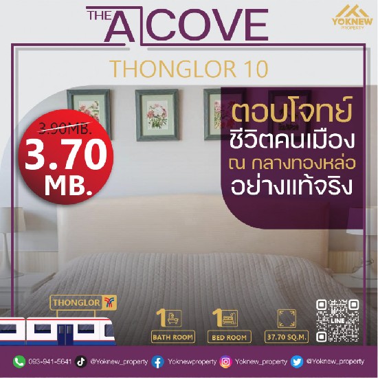 ͧᵡ¾ ͹ The Alcove Thonglor 10 Ҥҹ㹷ŷͧҴ