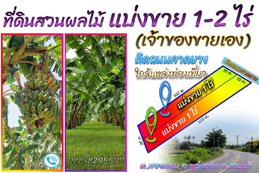 💢💢 (Ңͧͧ) Թŧ觢 1-2  觷ͧ Unseen Thai