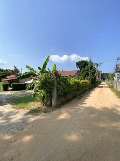 Land for rent - with business, 8 houses for rent, near the airport, Koh Samui, can continue bus