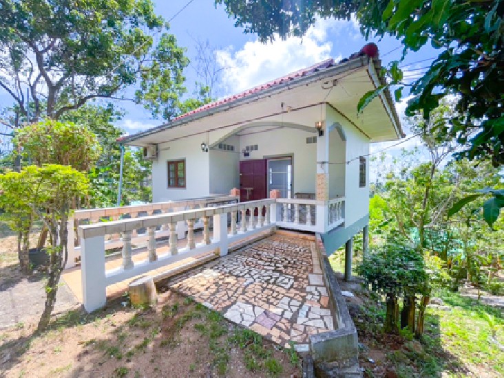 Home house for Rent 1 bedroom 1 bath room fully furnished in Lamai Hua Thanon Koh Samui Surat T
