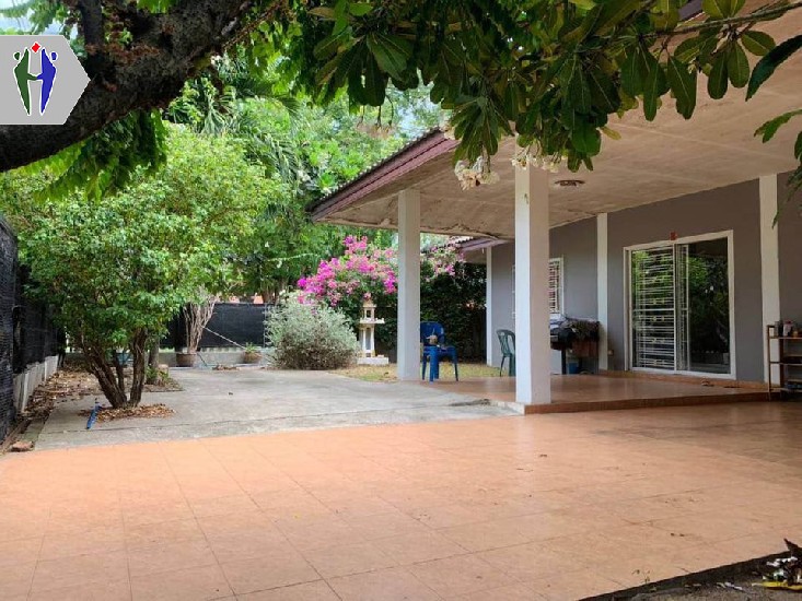 Single house for rent, near Nong Prue, Soi Siam Country Club, 20,000 baht.